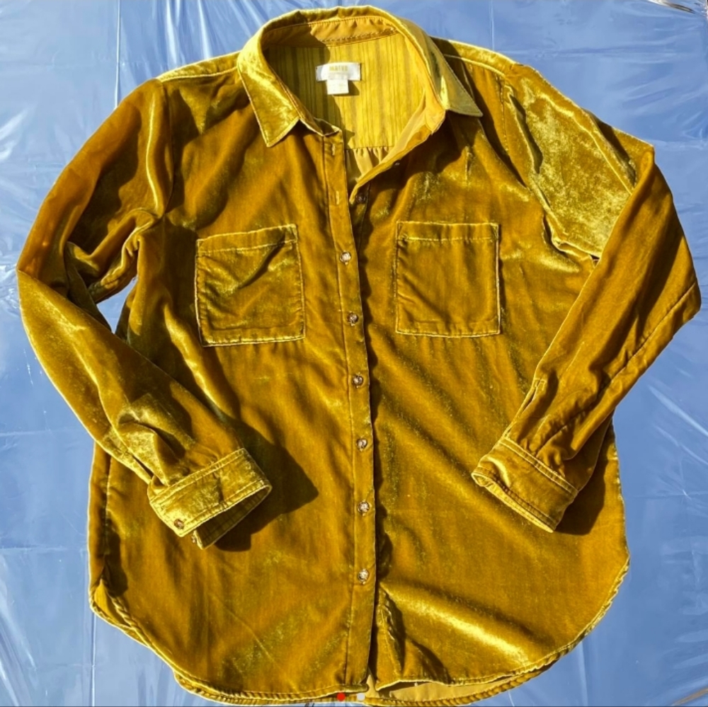 Anthropologie Velvet Button down shirt